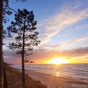 Pokoje Gościnne Przy Wydmie