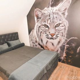 Sękowa Ostoja