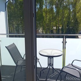 Wynajem pokoi i apartamentów u Harrego 