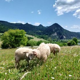 Agroturystyka Pod Zamczyskiem 