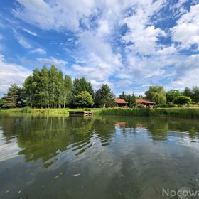 Dębowa Ostoja - domki agroturystyczne nad stawem