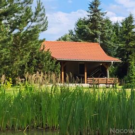 Dębowa Ostoja - domki agroturystyczne nad stawem