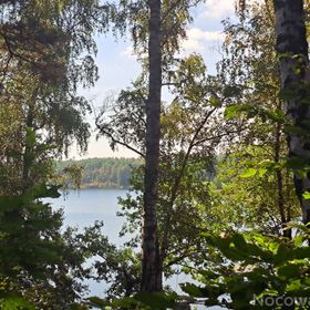 Przyleśne Chatki Blisko Jeziora - Mazury