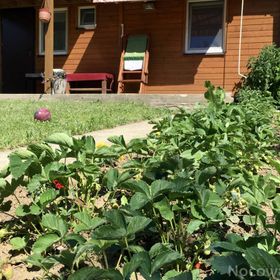 Domek i apartamenty w Mikołajkach