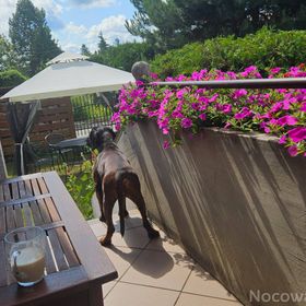 Pokoje Do Wynajęcia