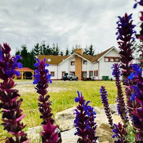 Między Nami a Sosnami Uniejów