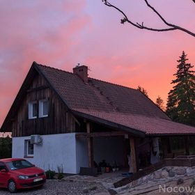 Król Puszczy nad jeziorem Mokre