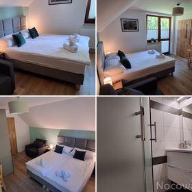 Sosnowy Zakątek Piwniczna