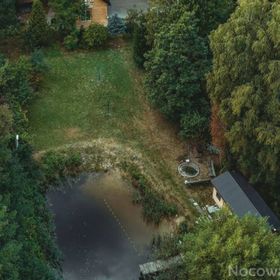 Domek z stawem w lesie SAUNA (BALIA)