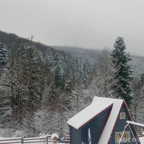 Leśny Zakątek - domek na prywatnej działce