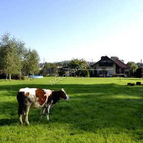 Agroturystyka Sielana