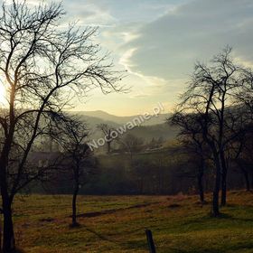Agroturystyka na Niedźwiedziej