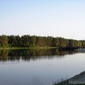 Agroturystyka pod Brzozami