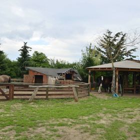 Agroturystyka Trzcinowy Zakątek