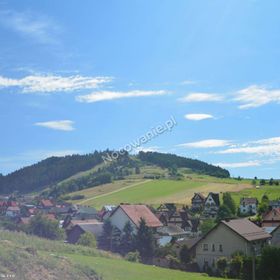 Pensjonat Willa Pienińska