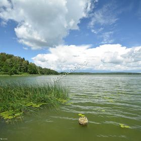 Gospodarstwo Pani Zofii