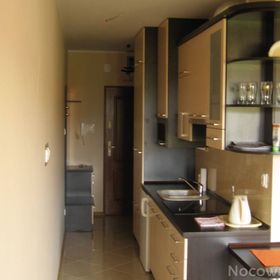 Apartament Stokrotka