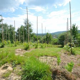 Świetnokrzyska Chata