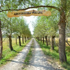 Agroturystyka Pod Lipą
