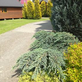 Pod Bocianim Gniazdem 