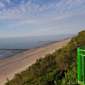 Domki angielskie Alex