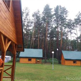 Pole Namiotowe Leśna Polana