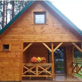 Pole Namiotowe Leśna Polana