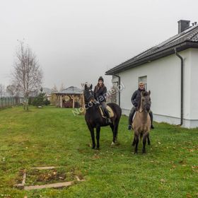 Agroturystyka Mustang