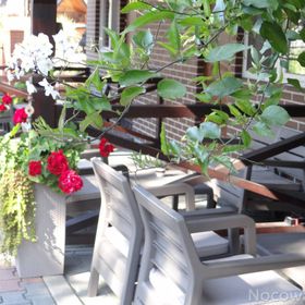 Magdalena Domki, Pokoje