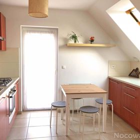 Wyjątkowy Apartament z Ogrodem 