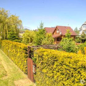 Śmiała 15 Słoneczniki