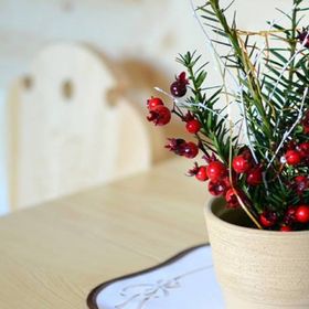 Pokoje Pod Bieńkulą