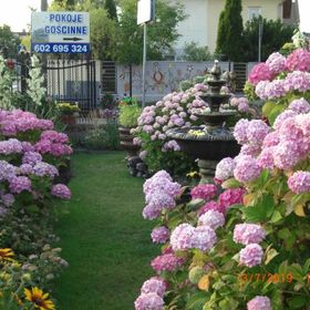 Pokoje Gościnne Bednarscy