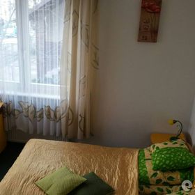 Bursztynek Jolanta Janowicz