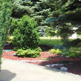 Gospodarstwo Agroturystyczne Paczyńscy