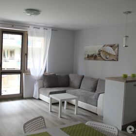 Apartament u Wioli