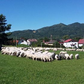 Dom Wczasowy Na Bukowinie