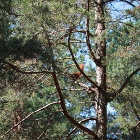 Ośrodek Wczasowy Befared