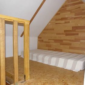 Konik Polny
