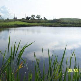 Pokoje Gościnne Jadwiga