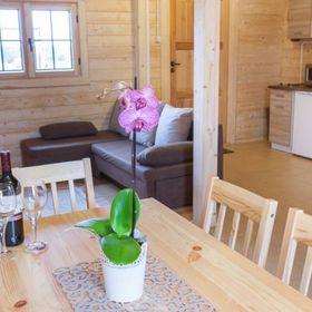 Domki Letniskowe Albatros