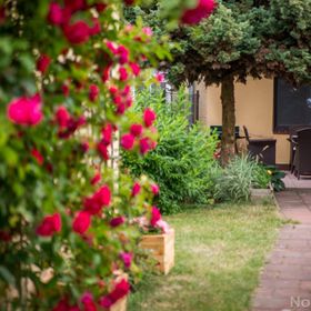 apartament do wynajęcia