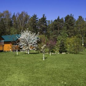 Domki Letniskowe Renata w Krynicy Morskiej