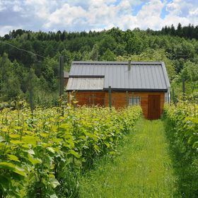 Agroturystyka i Winnica Granice