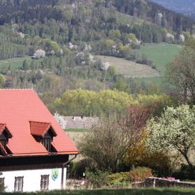 Agroturystyka Dom Skowronki