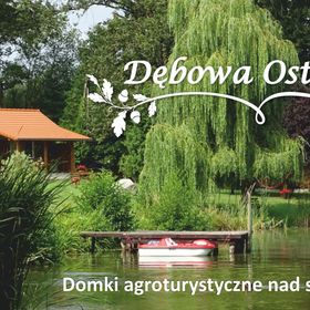 Dębowa Ostoja - domki agroturystyczne nad stawem