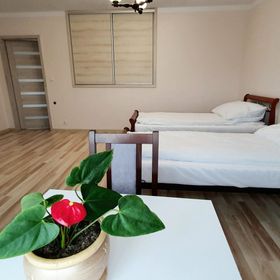 Noclegi pod Magnolią