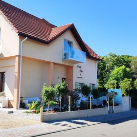 WILLA OLIW 100m do morza