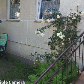 Domki Całoroczne, Pokoje z Łazienkami