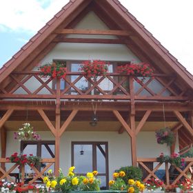 Domek Dzika Stokrotka